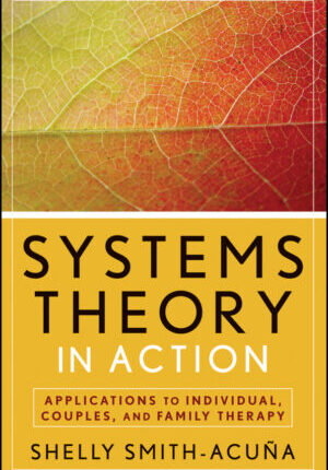 Systems theory in action: applications to individual, couples, and family therapy Ebook